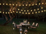 Arbitrary 40 LED Festoon Lights String Lights 41M